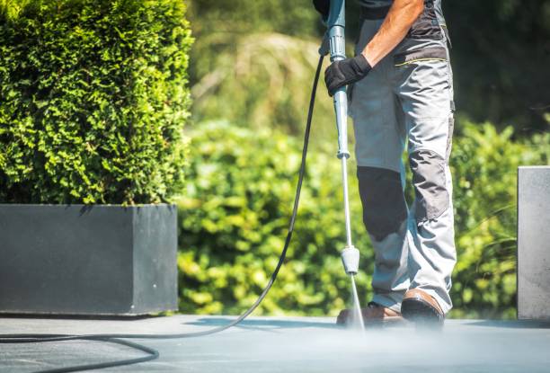 Professional Pressure Washing in Avery Creek, NC